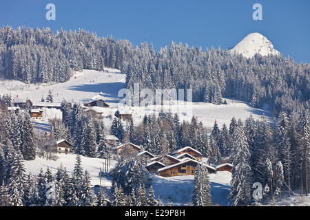 France, Haute Savoie, Domaine des Portes du Soleil, Les Gets, Banque D'Images