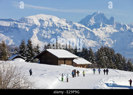 France, Haute Savoie, Praz de Lys avec une vue sur le Massif du Mont Blanc et les Aiguilles de Chamonix, l'Aiguille Banque D'Images