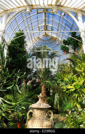 Royaume-uni, Irlande du Nord, Belfast, le Palm House au Botanic Gardens Banque D'Images