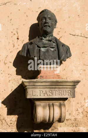 France, Jura, Arbois, le buste de Louis Pasteur Banque D'Images