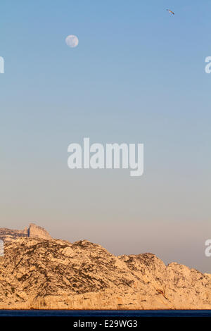 France, Bouches du Rhône, Marseille, capitale européenne de la culture 2013, Les Goudes, Pointe de Sormiou vu à partir de la Calanque de Banque D'Images