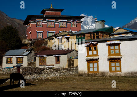 Le Népal Sagarmatha, zone, région de Khumbu, trek du Camp de base de l'Everest, le Monastère de Tengboche en face de l'Ama Dablam (6856 m) Banque D'Images