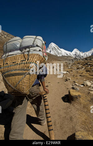 Le Népal Sagarmatha, zone, région de Khumbu, trek du Camp de base de l'Everest, sherpa porter avec son sac de transport qui a eu lieu sur le front Banque D'Images