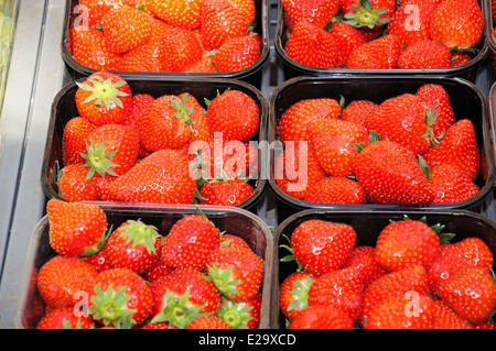 Fraises en punets en plastique pour la vente au marché du samedi, Tamworth, Staffordshire, Angleterre, Royaume-Uni, Europe de l'Ouest. Banque D'Images