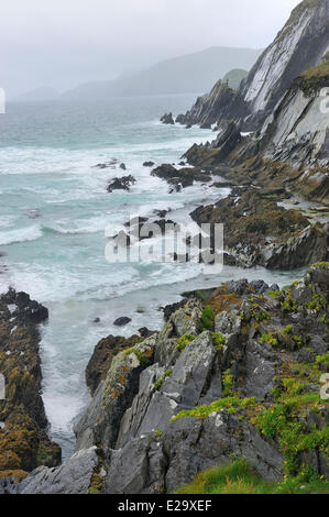 L'Irlande, le comté de Kerry, péninsule de Dingle, Slea Head, jour de tempête Banque D'Images