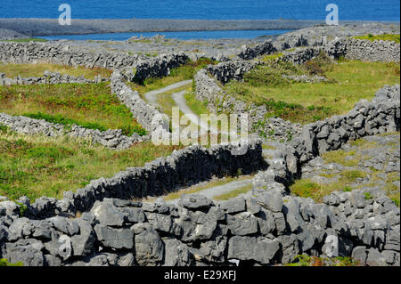 L'Irlande, dans le comté de Galway, les îles d'Aran, l'Inishmore Banque D'Images