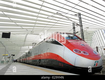 Un train accéléré italien haut en faisant un arrêt à la gare 'Reggio Emilia AV Mediopadana" près de Reggio Emilia (Italie), conçu par l'architecte espagnol Santiago Calatrava, le Juin 01, 2014. Banque D'Images