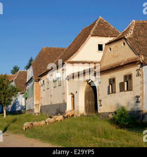 La Roumanie, la Transylvanie, Viscri, partie de villages avec églises fortifiées de Transylvanie, inscrite au Patrimoine Mondial de l'UNESCO Banque D'Images