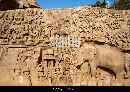 L'Inde, l'Etat du Tamil Nadu, Mahabalipuram (Mamallapuram), ou la Descente du Gange (également appelé la pénitence d'Arjuna), un 7e Banque D'Images