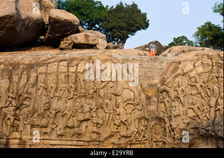 L'Inde, l'Etat du Tamil Nadu, Mahabalipuram (Mamallapuram), ou la Descente du Gange (également appelé la pénitence d'Arjuna), un 7e Banque D'Images