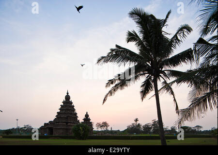 L'Inde, l'Etat du Tamil Nadu, Mahabalipuram (Mamallapuram), ou le temple du Rivage (7e siècle) inscrite au Patrimoine Mondial de l'UNESCO, Banque D'Images