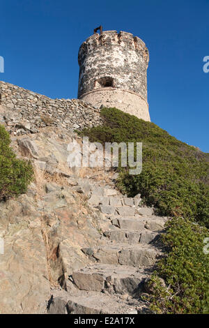 France, Corse du Sud, Ajaccio, tour génoise de la Parata Banque D'Images