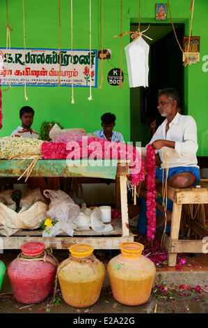 L'Inde, l'Etat du Tamil Nadu, Madurai, marché aux fleurs Banque D'Images