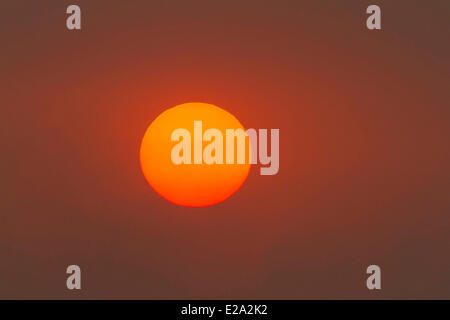 Kenya, Masai Mara National Reserve, feu de brousse et le coucher du soleil Banque D'Images