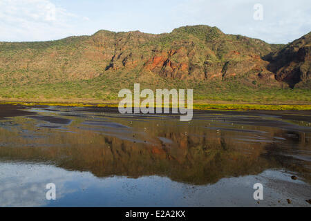 La Tanzanie, vallée du Rift, le lac Natron Banque D'Images