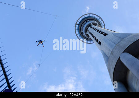 Nouvelle Zélande, île du nord, Auckland, l'homme dans l'air suspendu à la Sky Tower Banque D'Images