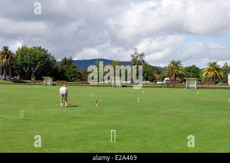 Nouvelle Zélande, île du Nord, la région de Bay of Plenty, Rotorua, Hinemaru Street, Jardins du gouvernement, terre de jeu de croquet Banque D'Images