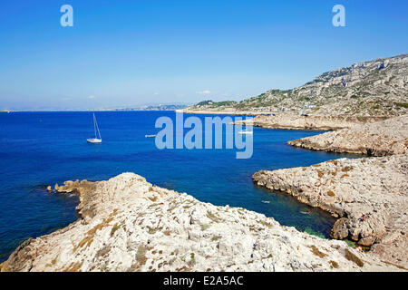 France, Bouches du Rhône, Marseille, capitale européenne de la culture 2013, 8ème arrondissement, quartier Les Calanques, cap Croisette Banque D'Images