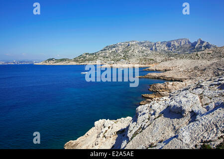 France, Bouches du Rhône, Marseille, capitale européenne de la culture 2013, 8ème arrondissement, quartier Les Calanques, cap Croisette Banque D'Images