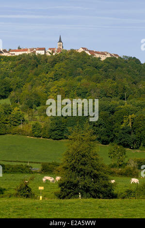 France, Côte d'Or, Flavigny sur Ozerain, étiqueté Les Plus Beaux Villages de France (Les Plus Beaux Villages de France) Banque D'Images