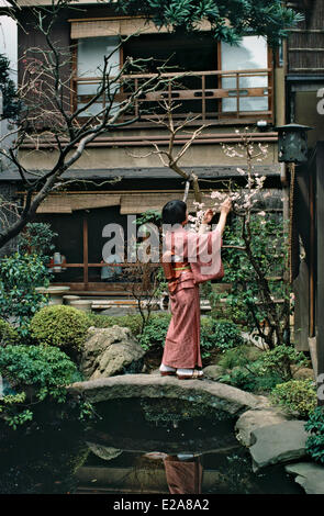 Le Japon, l'île de Honshu, région du Kanto, Tokyo, Seifuso Ryokan (auberge de style japonais,) Banque D'Images