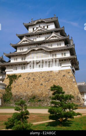Le Japon, l'île de Honshu, la région de Kinki, Himeji, Himeji jo Château classé au Patrimoine Mondial par l'UNESCO Banque D'Images