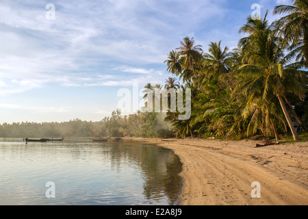 Une plage tropicale avec des palmiers à l'île de Koh Phangan, Thaïlande Banque D'Images