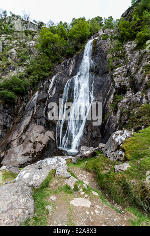 Abergwyngregyn Rhaeadr fawr Aber Falls North Wales Banque D'Images