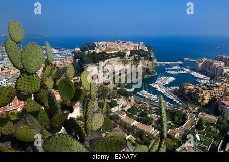 Principauté de Monaco, Monaco, le jardin exotique avec une très grande variété d'espèces de plantes succulentes, le rock et l'Fontvieille Banque D'Images