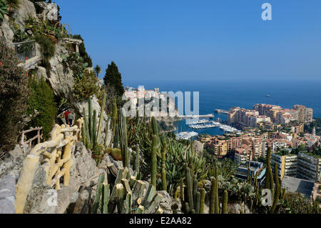 Principauté de Monaco, Monaco, le jardin exotique avec une très grande variété d'espèces de plantes succulentes, le rock et l'Fontvieille Banque D'Images