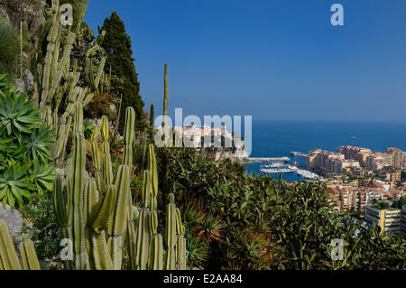 Principauté de Monaco, Monaco, le jardin exotique avec une très grande variété d'espèces de plantes succulentes, le rock et l'Fontvieille Banque D'Images