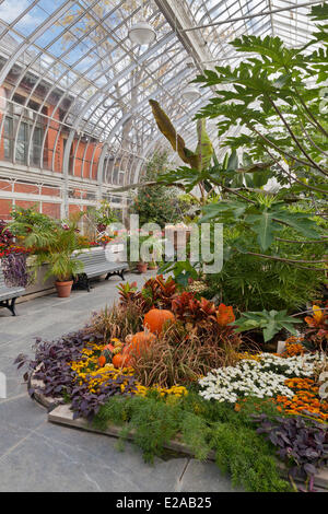 Canada, Québec, Montréal, Westmount, la bibliothèque municipale's Greenhouses Banque D'Images