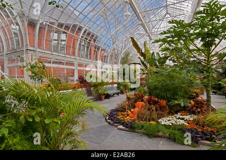 Canada, Québec, Montréal, Westmount, la bibliothèque municipale's Greenhouses Banque D'Images