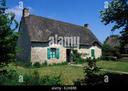 France, Loire Atlantique, Parc Naturel Régional de Brière (Parc Naturel Régional de Brière), Saint Lyphard chaumière, dans Banque D'Images