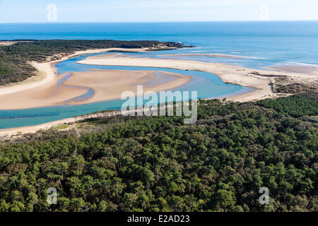 France, Vendée, Talmont Saint Hilaire, la forêt avant la plage du Veillon et de la Pointe du Payre (vue aérienne) Banque D'Images