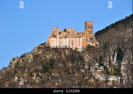 La France, Haut Rhin, Alsace, Ribeauvillé, le château de Saint Ulrich Banque D'Images