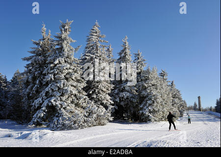 La France, Bas Rhin, Hautes Vosges, le Champ du Feu, des pentes de ski de fond Banque D'Images