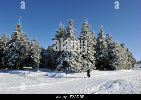 La France, Bas Rhin, Hautes Vosges, le Champ du Feu, des pentes de ski de fond Banque D'Images