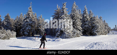 La France, Bas Rhin, Hautes Vosges, le Champ du Feu, des pentes de ski de fond Banque D'Images