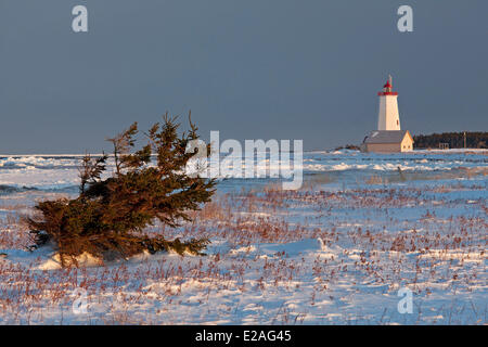 Canada, Nouveau-Brunswick, Province de la côte acadienne, l'Île Miscou lighthouse Banque D'Images