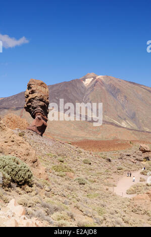 Espagne, Canaries, Tenerife, le Parc National du Teide inscrite au Patrimoine Mondial de l'UNESCO, Roques de Garcia, Cinchado au Rock Banque D'Images