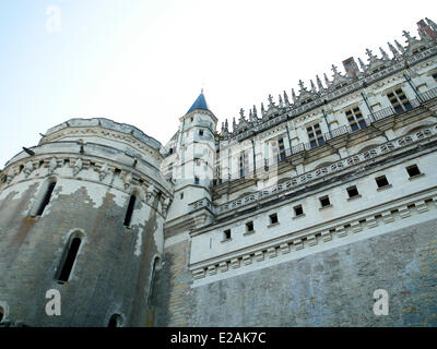 France, Indre et Loire, caractéristique : Les Grandes Tours, Amboise, Château d'Amboise Banque D'Images