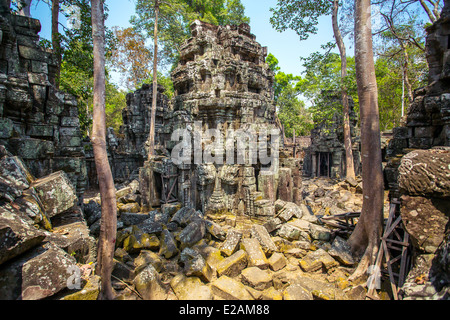 Ta Prohm temple antique au complexe d'Angkor Wat, Siem Reap, Cambodge Banque D'Images