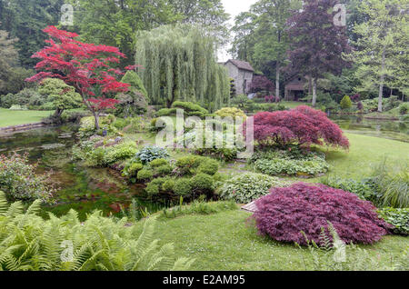 France, Seine et Marne, Parc Naturel Régional du Gatinais francais (Parc Naturel Régional du Gatinais), Château de Courances, le Banque D'Images