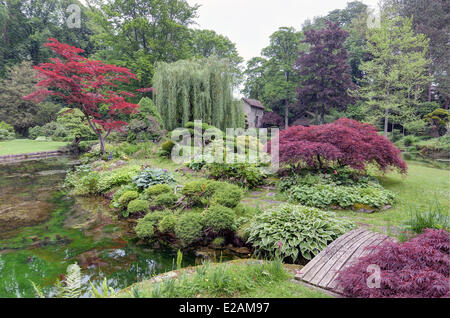 France, Seine et Marne, Parc Naturel Régional du Gatinais francais (Parc Naturel Régional du Gatinais), Château de Courances, le Banque D'Images