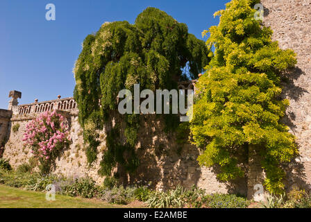 France, Indre et Loire, Chancay, véranda, jardin du Château de Valmer Banque D'Images