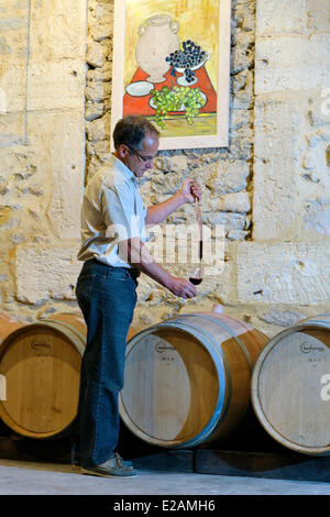 La France, l'Hérault, Saint Aunes, Château les Mazes, échantillonnage de domaine de vin de cylindre de la pipette dans la cave pour une dégustation, Banque D'Images