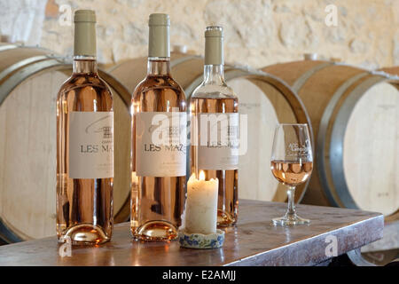 La France, l'Hérault, Saint Aunes, Château les Mazes domaine, composition de bouteilles de vin rouge et rose dans une cave avec dégustation Banque D'Images