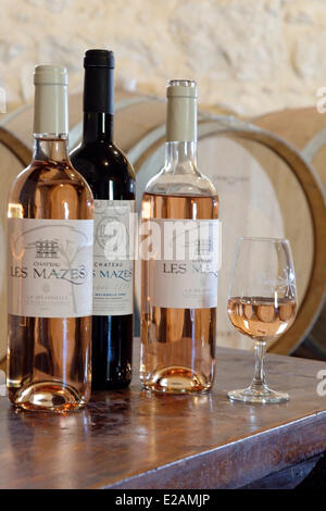 La France, l'Hérault, Saint Aunes, Château les Mazes domaine, composition de bouteilles de vin rouge et rose dans une cave avec dégustation Banque D'Images