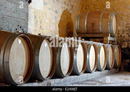La France, l'Hérault, Saint Aunes, Château les Mazes, domaine des tonneaux de vin en face d'une porte en bois dans une chambre forte Banque D'Images